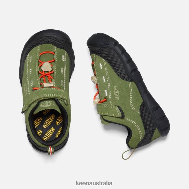 H68B20 Capulet Olive-Black Keen Younger ' Jasper II