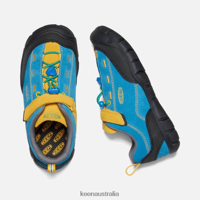 H68B27 Brilliant Blue-Golden Rod Keen Older ' Jasper II