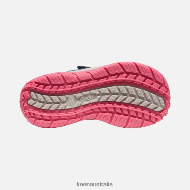 H68B542 Blue Wing Teal-Fruit Dove Keen Big ' Speed Hound