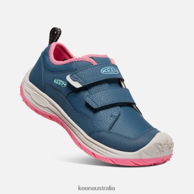 H68B542 Blue Wing Teal-Fruit Dove Keen Big ' Speed Hound