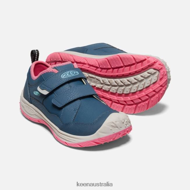 H68B542 Blue Wing Teal-Fruit Dove Keen Big ' Speed Hound