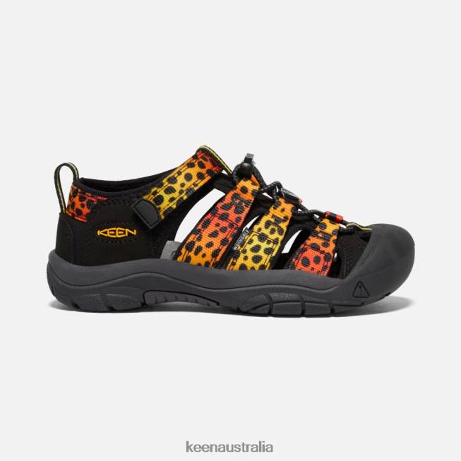 H68B550 Cheetah Rainbow Keen Big ' Newport H2