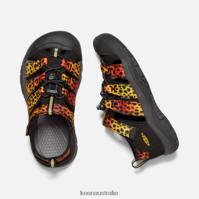 H68B550 Cheetah Rainbow Keen Big ' Newport H2
