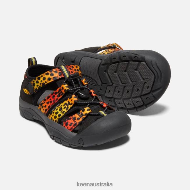 H68B550 Cheetah Rainbow Keen Big ' Newport H2