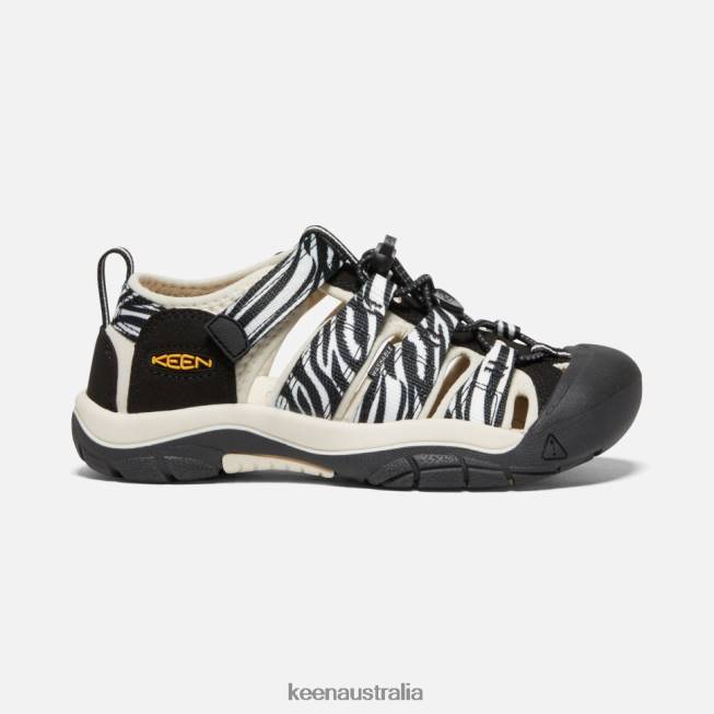 H68B551 Atms Zebra Star Keen Big ' Newport H2