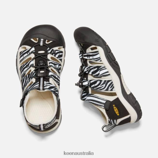 H68B551 Atms Zebra Star Keen Big ' Newport H2