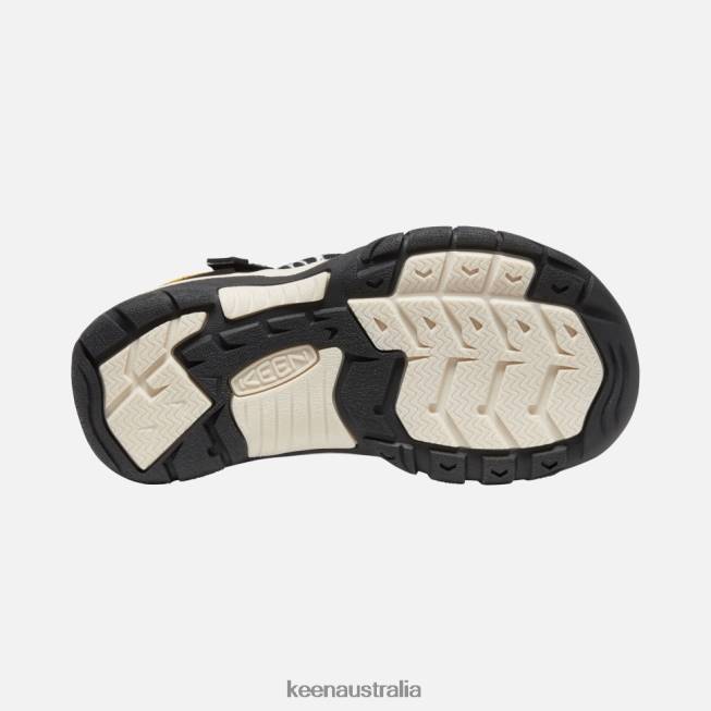 H68B551 Atms Zebra Star Keen Big ' Newport H2