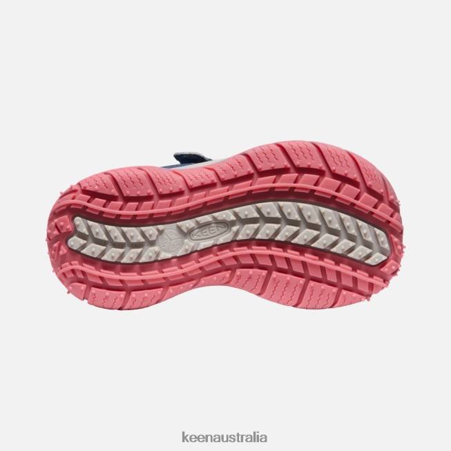 H68B544 Blue Wing Teal-Fruit Dove Keen Little ' Speed Hound