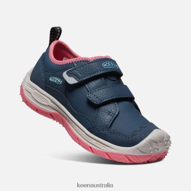 H68B544 Blue Wing Teal-Fruit Dove Keen Little ' Speed Hound