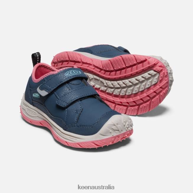 H68B544 Blue Wing Teal-Fruit Dove Keen Little ' Speed Hound