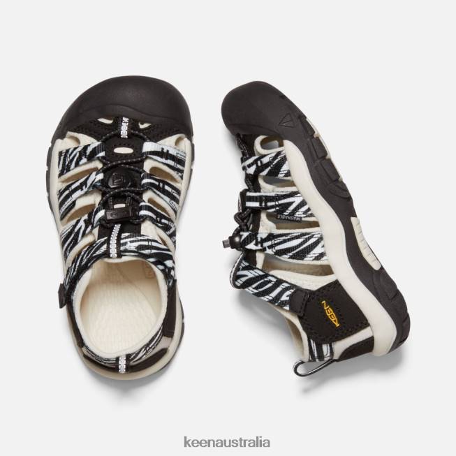H68B570 Atms Zebra Star Keen Little ' Newport H2