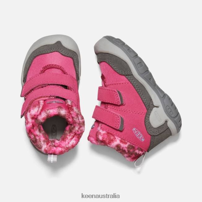 H68B564 Fruit Dove-Black Keen Toddlers' Knotch Double Strap Chukka