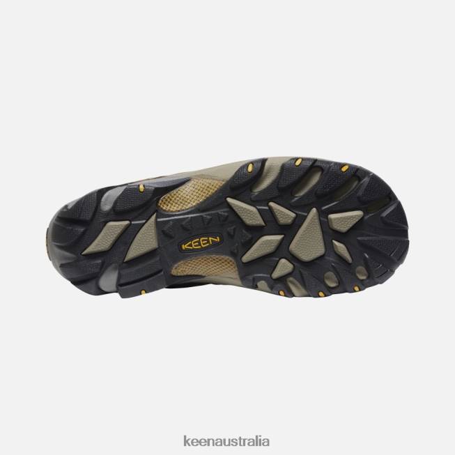 H68B497 Cascade Brown-Golden Yellow Keen Targhee II Waterproof