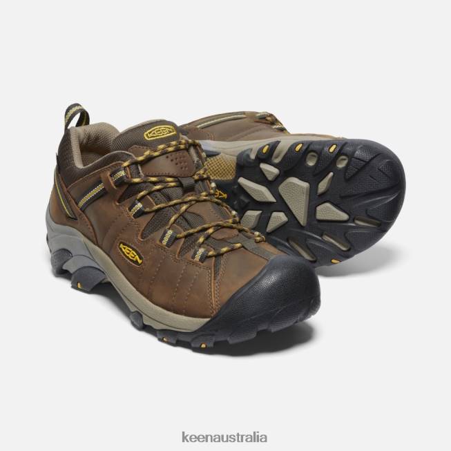 H68B497 Cascade Brown-Golden Yellow Keen Targhee II Waterproof