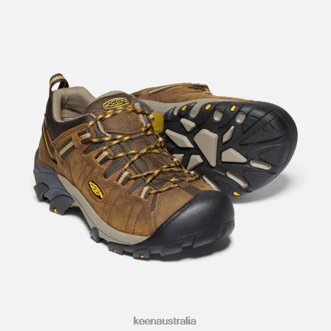 H68B498 Cascade Brown-Golden Yellow Keen Targhee II Waterproof Wide