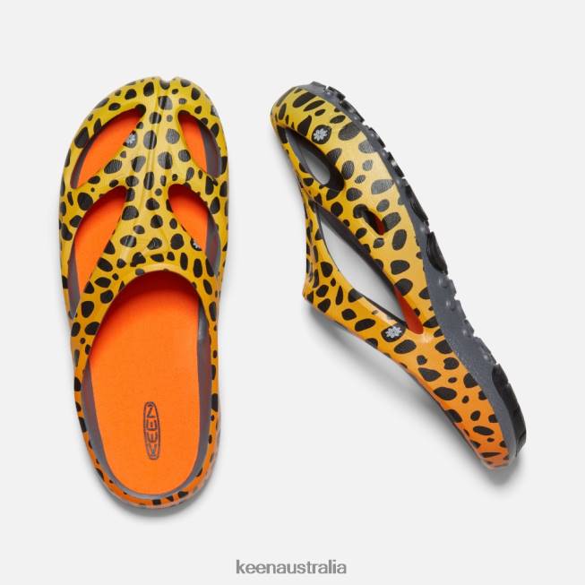 H68B490 THC Cheetah Rainbow Keen Shanti Arts