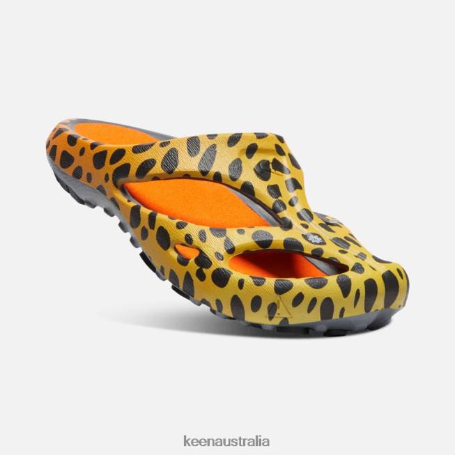 H68B340 THC Cheetah Rainbow Keen Shanti Arts