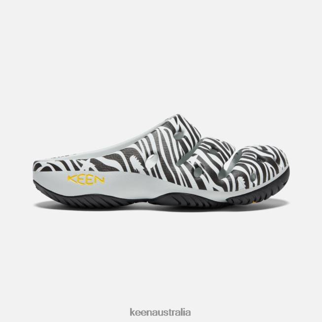 H68B358 Atms Zebra Star Keen Yogui Arts