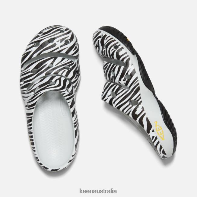 H68B358 Atms Zebra Star Keen Yogui Arts