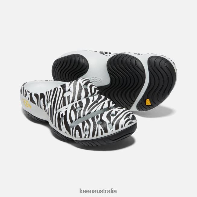H68B358 Atms Zebra Star Keen Yogui Arts