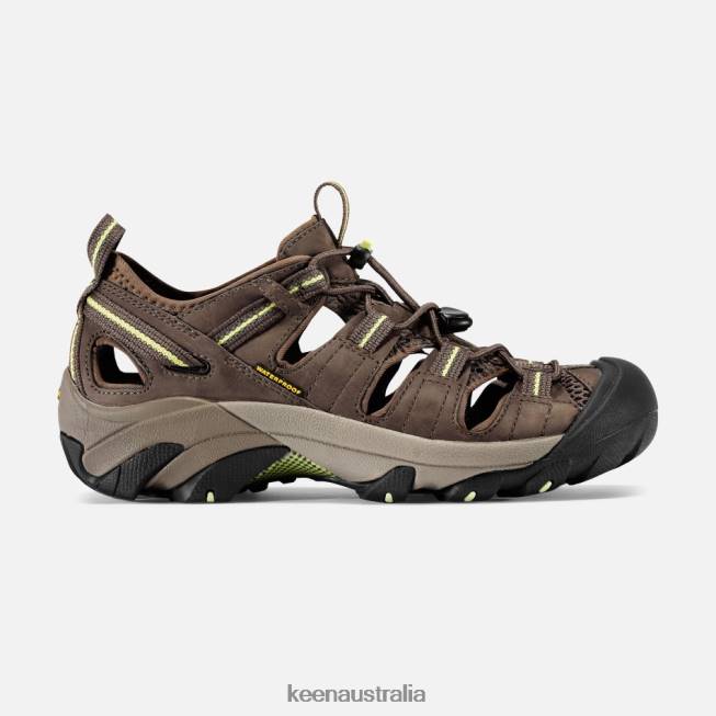 H68B45 Chocolate Chip-Sap Green Keen Arroyo II