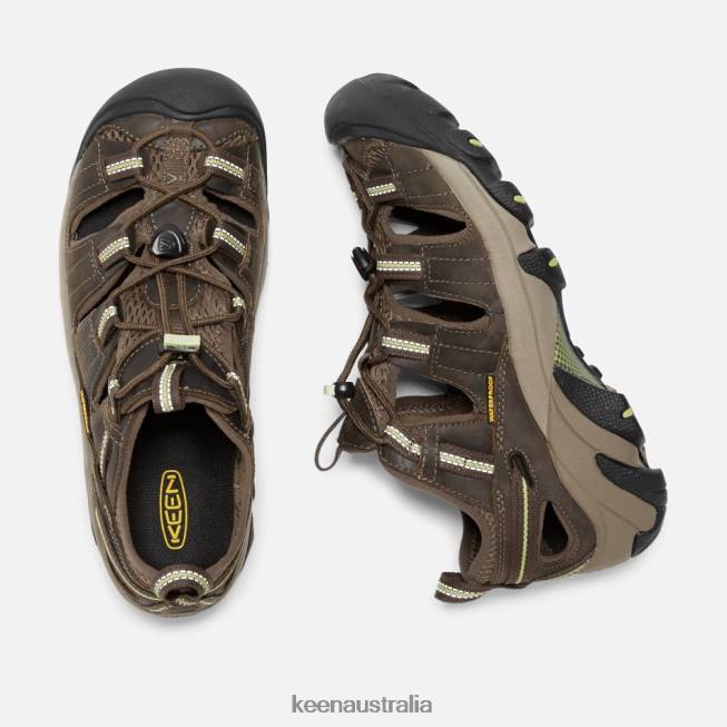 H68B45 Chocolate Chip-Sap Green Keen Arroyo II