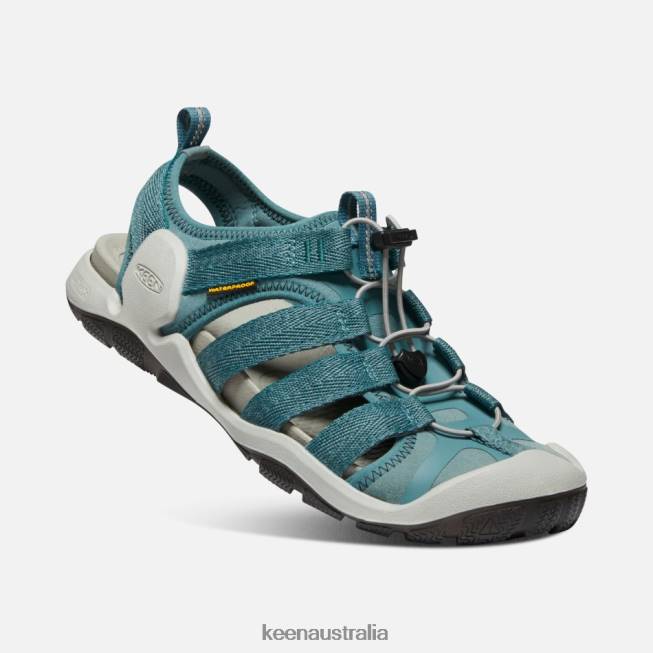 H68B89 Balsam-North Atlantic Keen CNX II